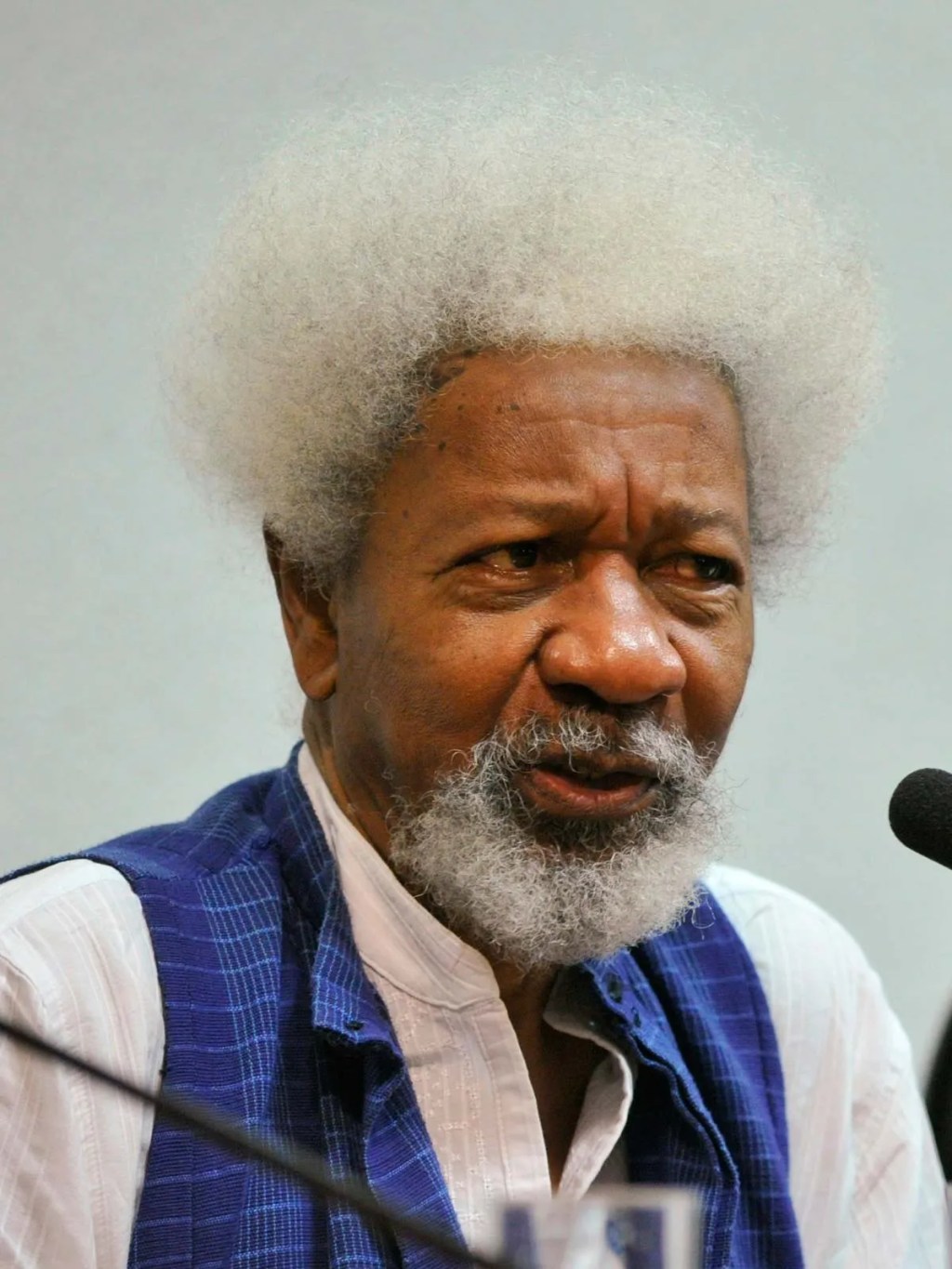 Analyzing Professor Wole Soyinka’s Comment on Peter Obi’s Competence: A Critical&nbsp;Perspective